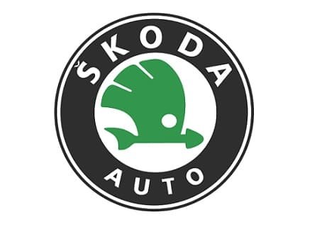 Servicio-de-Reinicio-de-Bateria-para-Carros-y-Motos-en-Cali-Medellin-Bogota-Cartagena-Barranquilla-y-Pasto-para-carros-Skoda.jpg